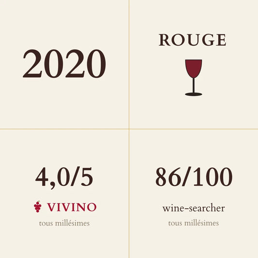 Domaine Rapet Pere et Fils, Pernand-Vergelesses Premier Cru, Vergelesses 2020