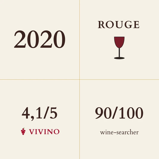 Michele et Patrice Rion, Nuits-Saint-Georges Premier Cru, Clos des Argillieres 2020