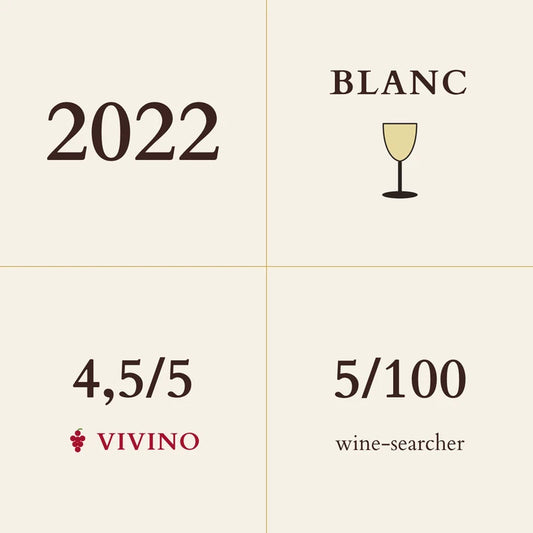 Pierre-Yves Colin-Morey, Chassagne-Montrachet Premier Cru, Morgeot Blanc 2022